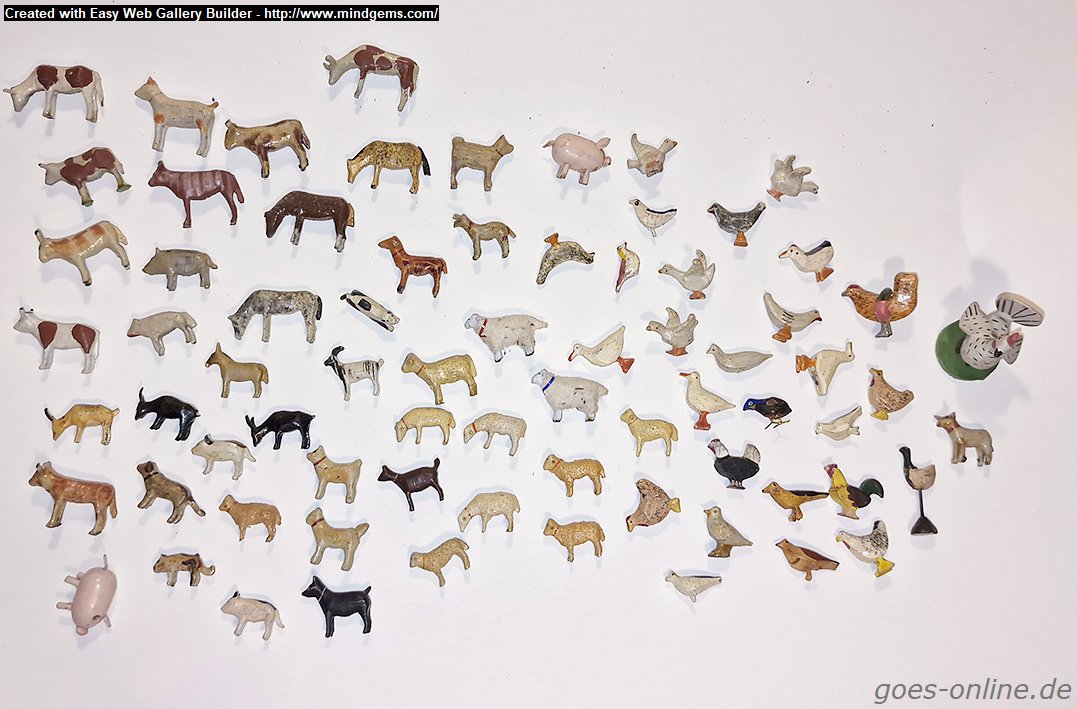 Website Photo Gallery